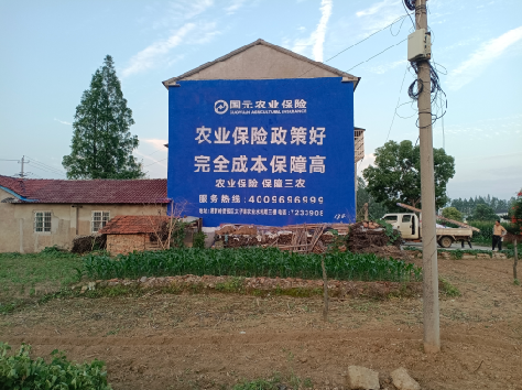 得荣墙体广告的优劣势你知道吗？